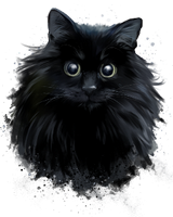 a painted black kitty